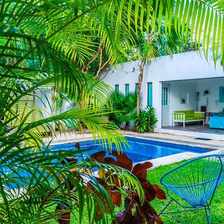 Casa Borush By Ecoplaneta Hotel Cancun Ngoại thất bức ảnh