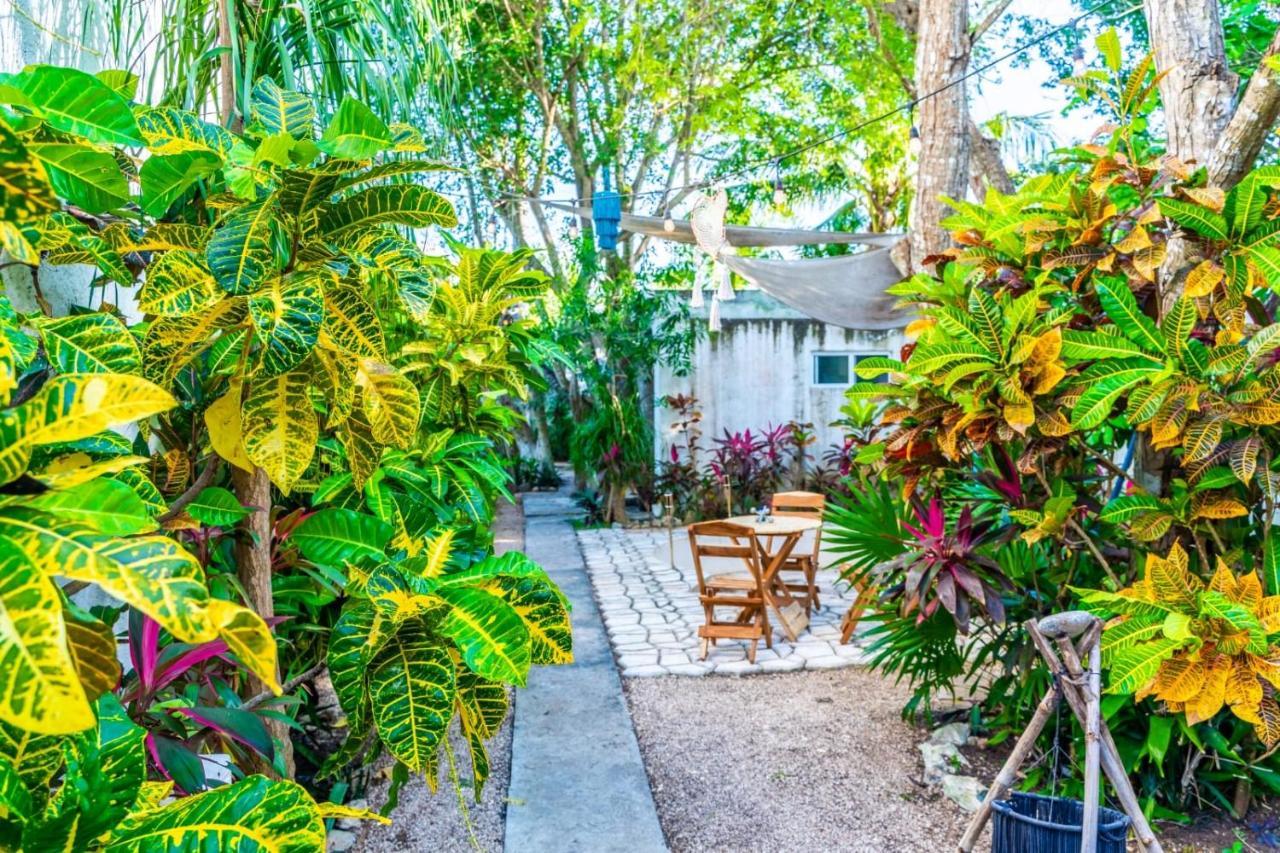 Casa Borush By Ecoplaneta Hotel Cancun Ngoại thất bức ảnh